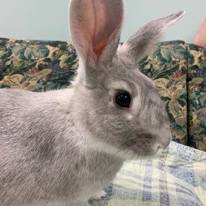 Meet your Posher, Trinity